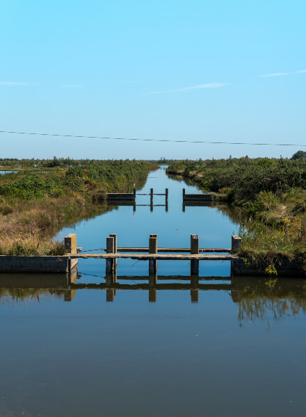 laguna-canali