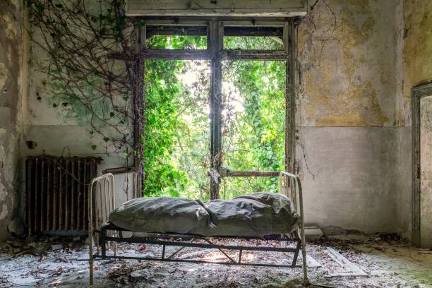 poveglia ospedale psichiatrico